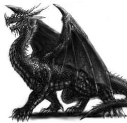 The Black Dragon